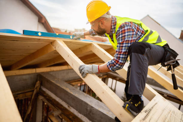Best Roof Gutter Cleaning  in Martinsvle, IL