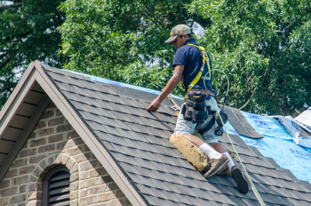 Best New Roof Installation  in Martinsvle, IL